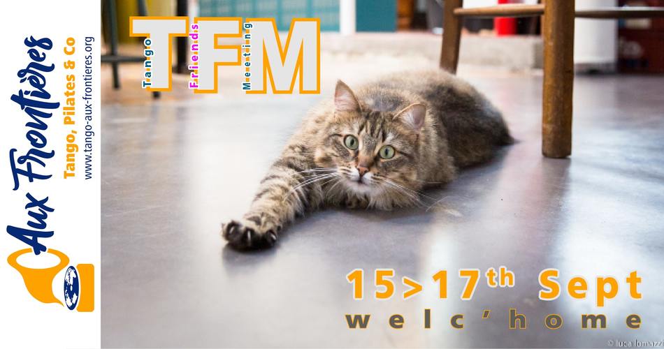 TFM16-min.jpg