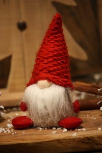 Le-petit-lutin-a-la-barbe-blanche-et-au-bonnet-rouge.jpg