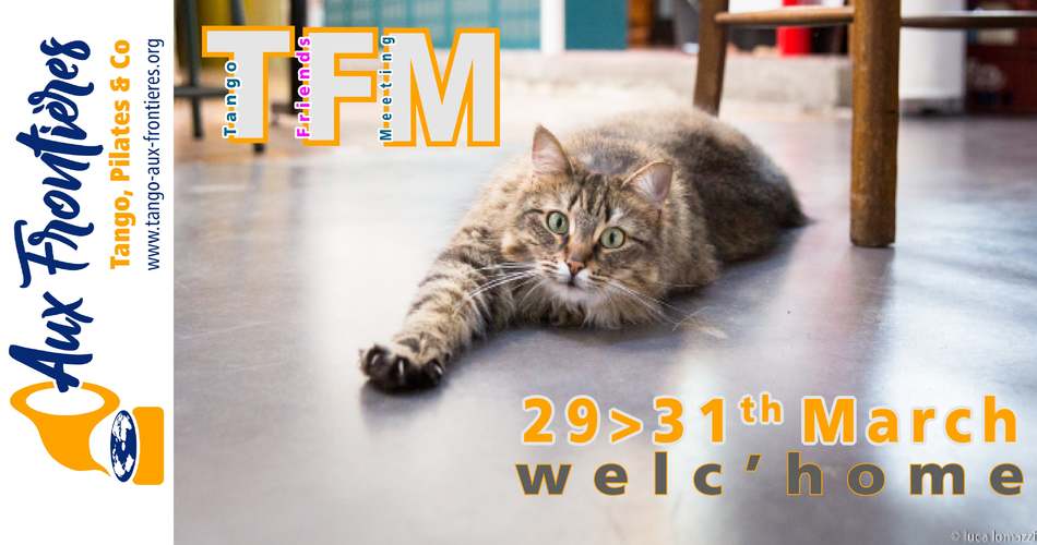 TFM17-min.jpg